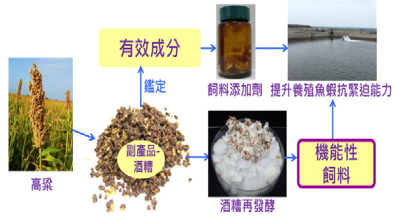 二十八烷醇(octacosanol)作為魚隻抗寒之用途(榮獲台灣創新技術博覽會發明競賽-銀牌獎)(另開新視窗/png檔)