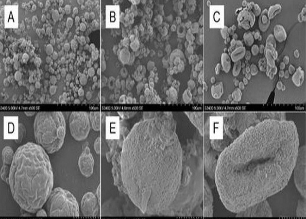 Chitosan/acetic acid/NaCl microparticles under different magnifications(另開新視窗/jpg檔)