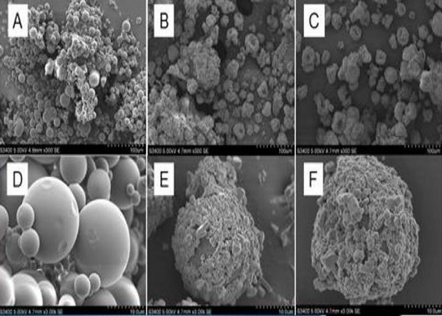 Chitosan/lactic acid/NaCl microparticles under different magnifications(另開新視窗/jpg檔)