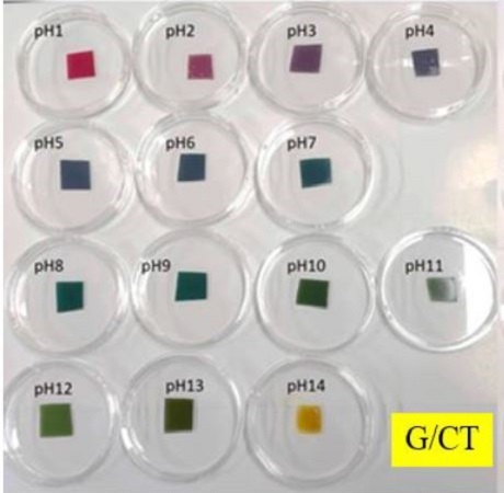 複合膜在不同pH植下的顏色變化(另開新視窗/jpg檔)