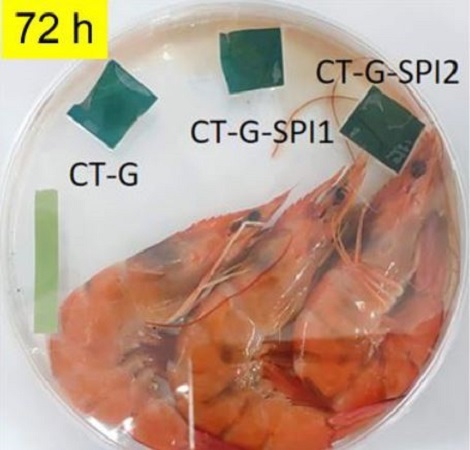 pH指示膜與蝦子在密閉環境中，在不同時間的顏色變化(另開新視窗/jpg檔)