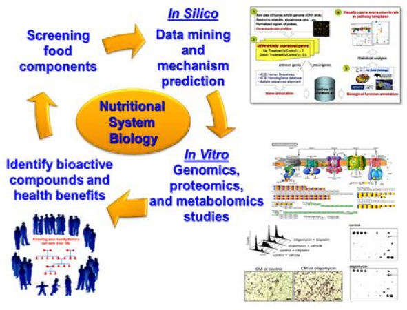 營養學、細胞生物學、新產品開發(另開新視窗/jpg檔)