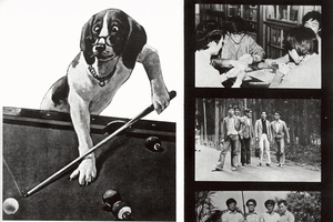 國立臺灣海洋大學食品科學系 7屆(65-71級)聯誼活動圖片