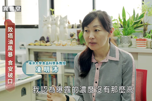 致癌油風暴 食安破口-凌明沛教授 ~ 民視【異言堂】專訪圖片