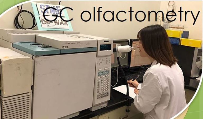 GC olfactometry(另開新視窗/jpg檔)