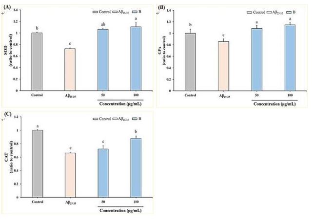 Effect of crop medium B extract and G. lucidum  fermented powder on Aβ25-35 –induced (A) superoxide  dismutase (SOD), (B) glutathione peroxidase (GPx)  and (C) catalase (CAT) activity in SH-SY5Y cells.  Different letters (a-c) in the same group mean  significant difference (p < 0.05).(另開新視窗/jpg檔)