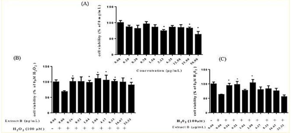 Effect of the extract B of G.lucidum fermented product on protection and recovery of H2O2-induced  cytotoxicity in SH-SY5Y cells.   (A)Cells treatment with B extract for 24 hr.   (B)Cells pretreated with extract B for 6 hr, following by 100 μM H2O2 treatment for 24 hr.   (C)Cells pretreatment with 100 μMH2O2 for 6 hr, following. by extract B treatment for 24 hr. Cell viability was  measured by MTT assay.   *Significant difference (P < 0.05) as compare to H2O2 treatment only.(另開新視窗/jpg檔)