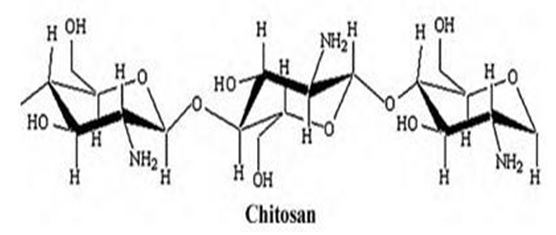The structure of chitosan(另開新視窗/jpg檔)